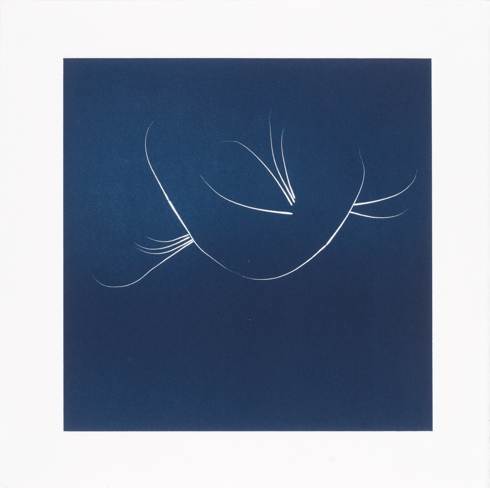 Image of an abstract drawing resembling cat whiskers in white with a dark blue background 