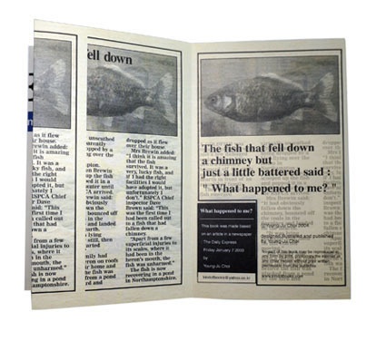 The Fish That Fell down a Chimney Is Just a Little Battered / DAILY EXPRESS thumbnail 3