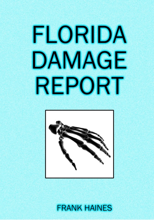 Florida Damage Report thumbnail 1