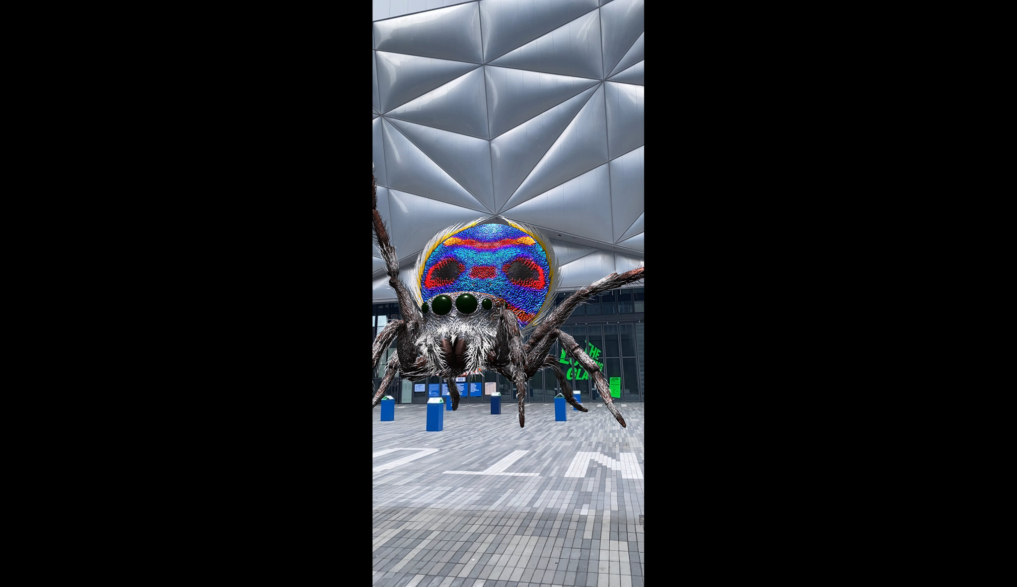 A giant AR spider with a flat purple-and-red-patterned body stands in front of The Shed