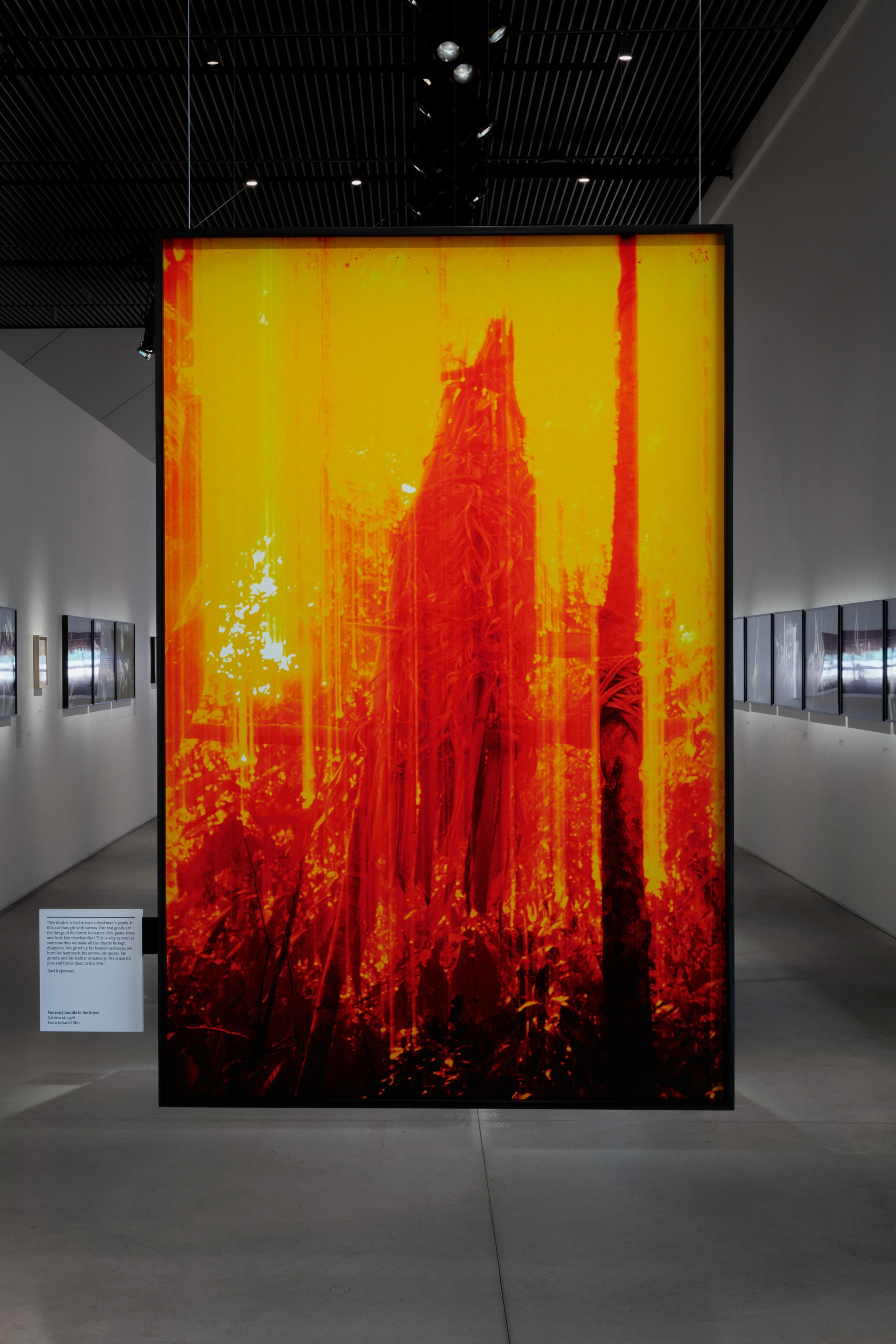 A photo suspended from the ceiling of an art gallery. The image is cast in a red-orange tone and shows a funerary bundle among trees in a forest.