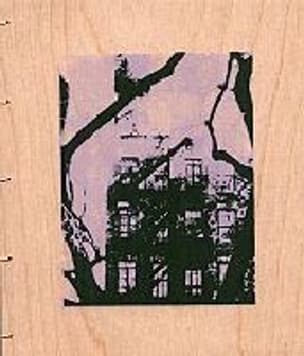 Ruderal Plants in Manhattan