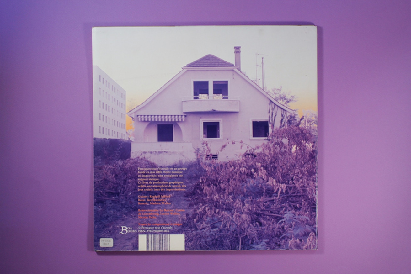 Perroquet Tout S'Ecroule Sort Son Premier Album thumbnail 2