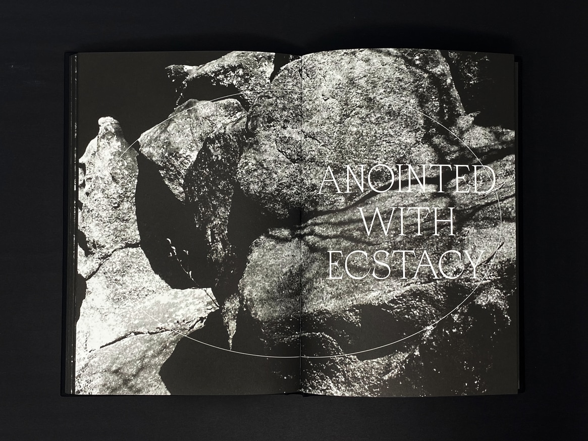 Hunters Follow Harpy Shadows thumbnail 9