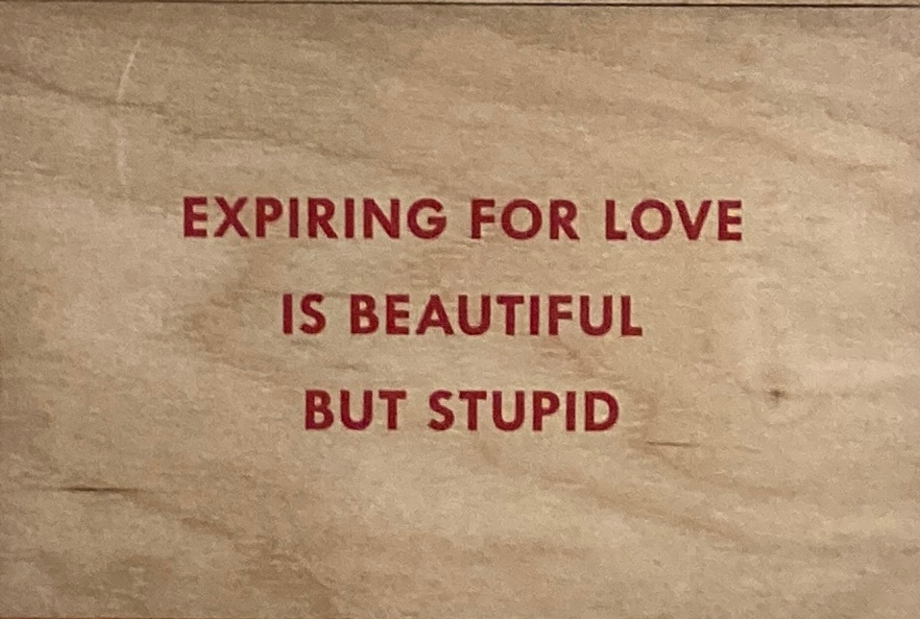 Expiring for Love is Beautiful But Stupid Wooden Postcard