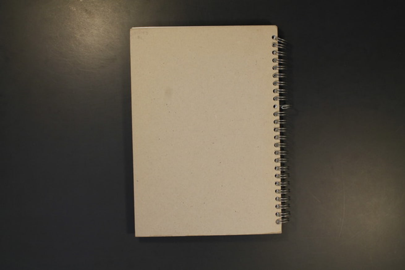 Trans European Picnic : The Art and Media of Accession