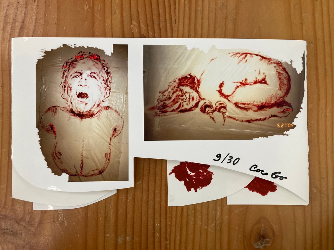 Calming Bush: New Rules of Engagement thumbnail 3