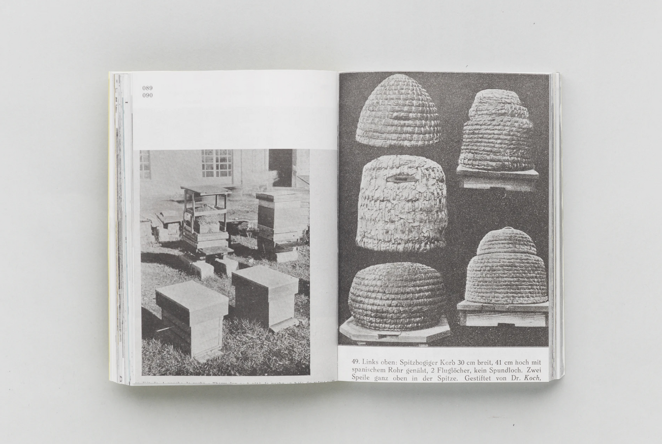 HIVES, 2400 B.C.E. – 1852 C.E. thumbnail 7