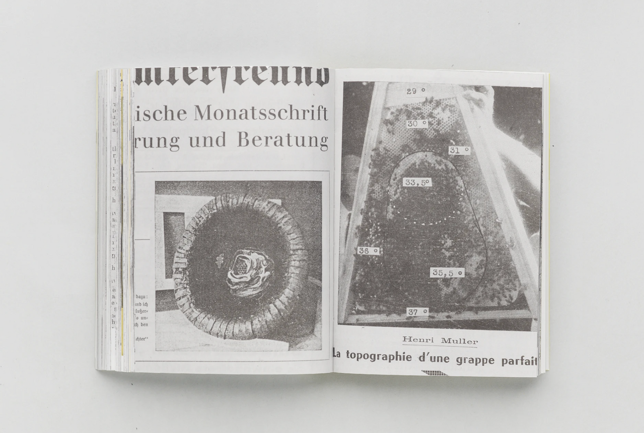 HIVES, 2400 B.C.E. – 1852 C.E. thumbnail 2