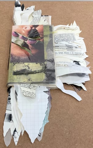 Cut Book (The_____Reader : 160 Books To Be Read With Eyes Ears Mind Body Use)