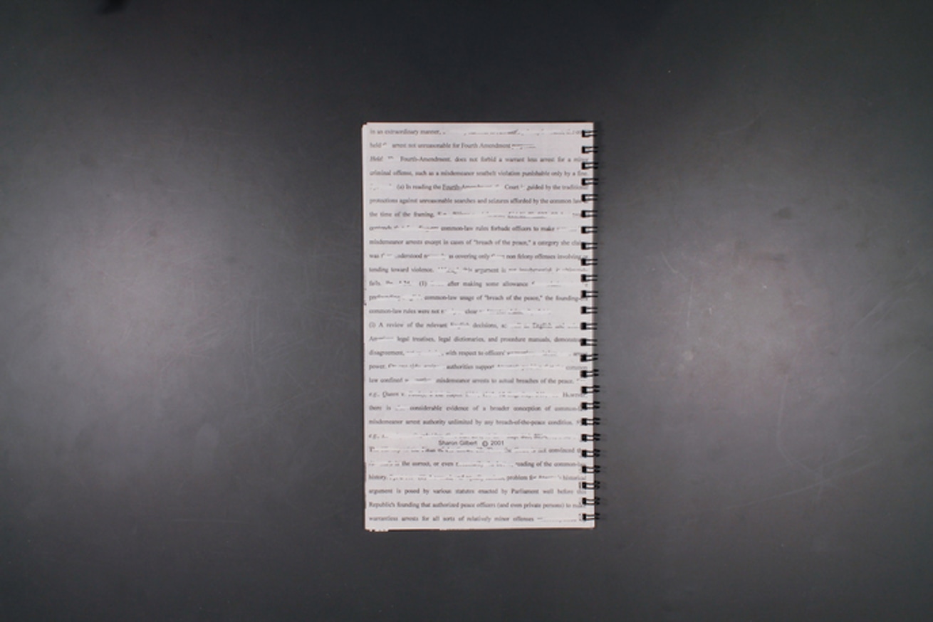 Police (State) USA thumbnail 4