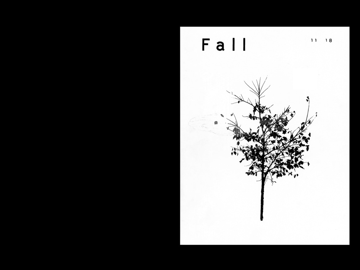 Fall