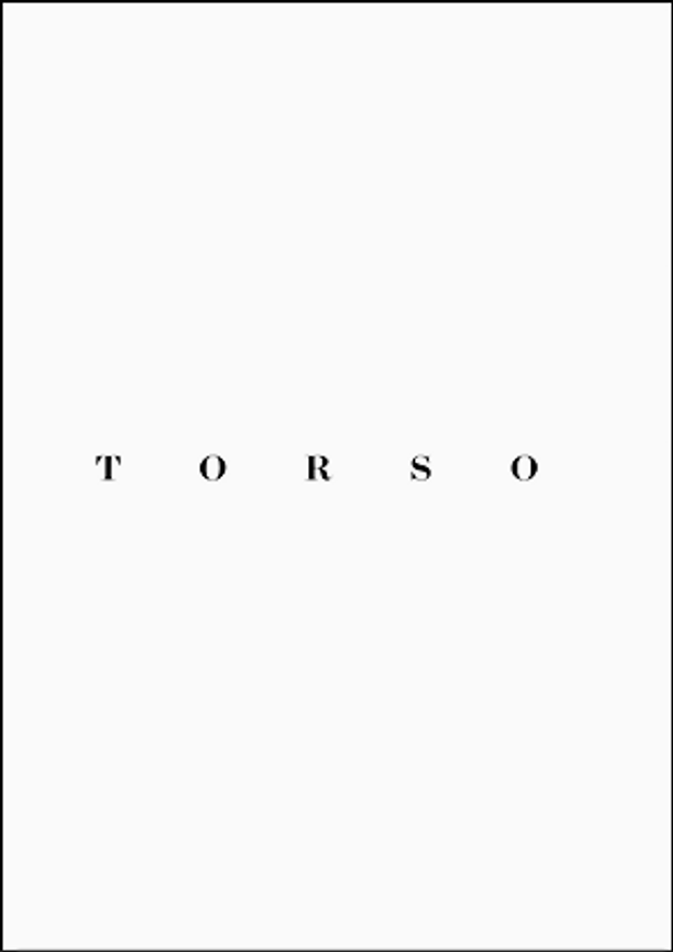 Torso