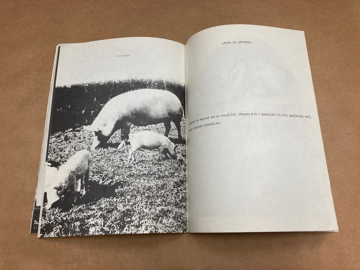 Vladimir Gudac: Unatoč činjenici thumbnail 5