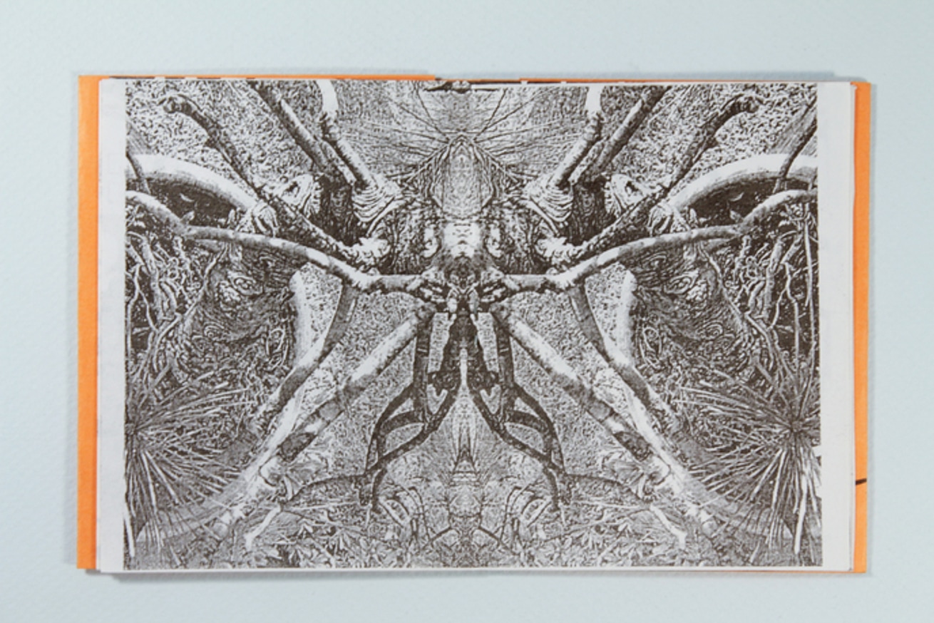 Colorin Buc / Elle thumbnail 9