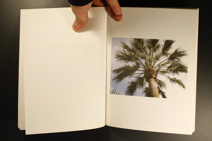 Twenty Palm Trees of Santa Cruz de Tenerife thumbnail 4