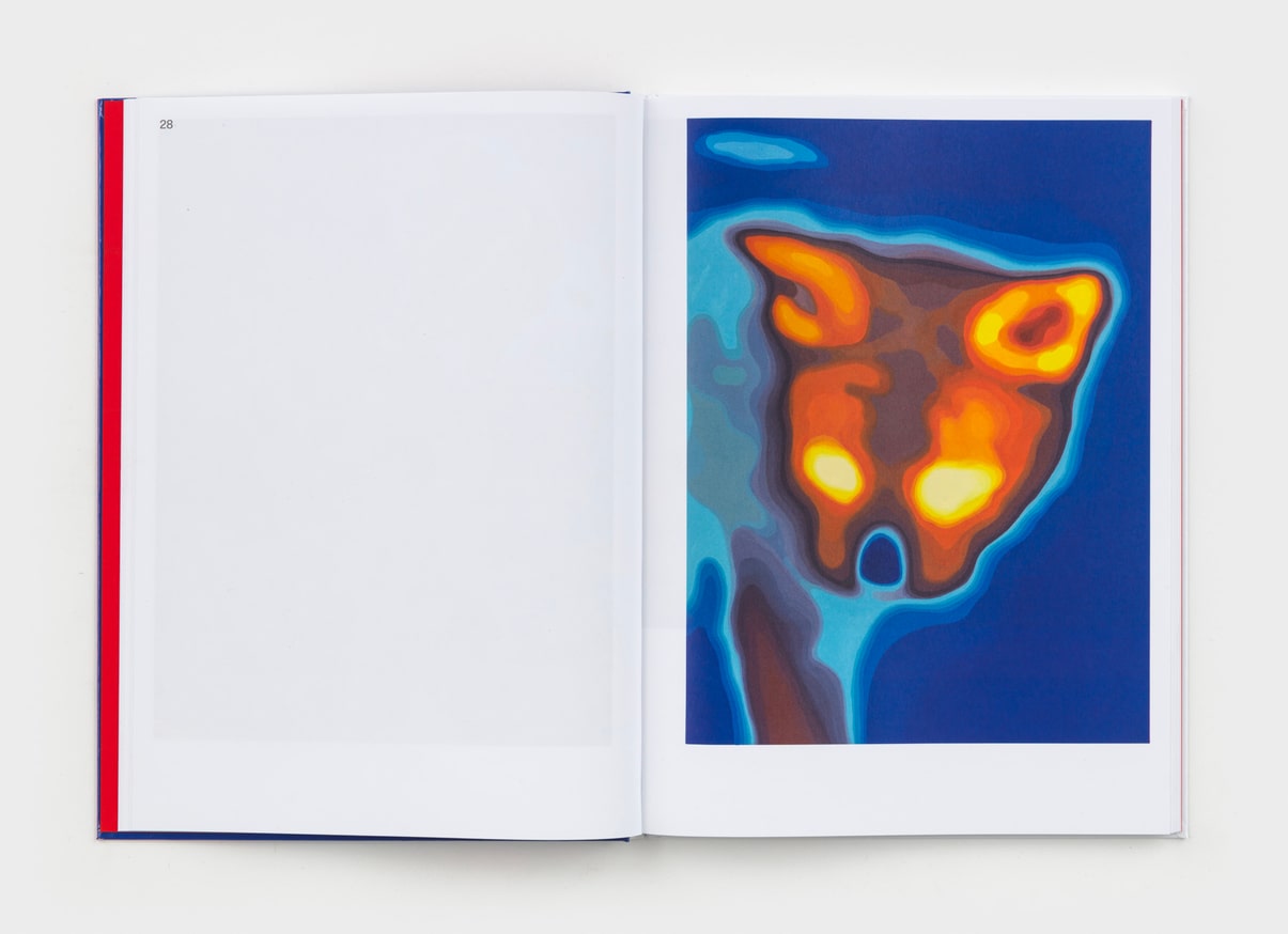 Local Warming thumbnail 4