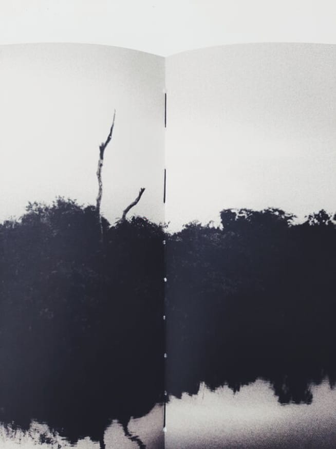 Amazonia thumbnail 2