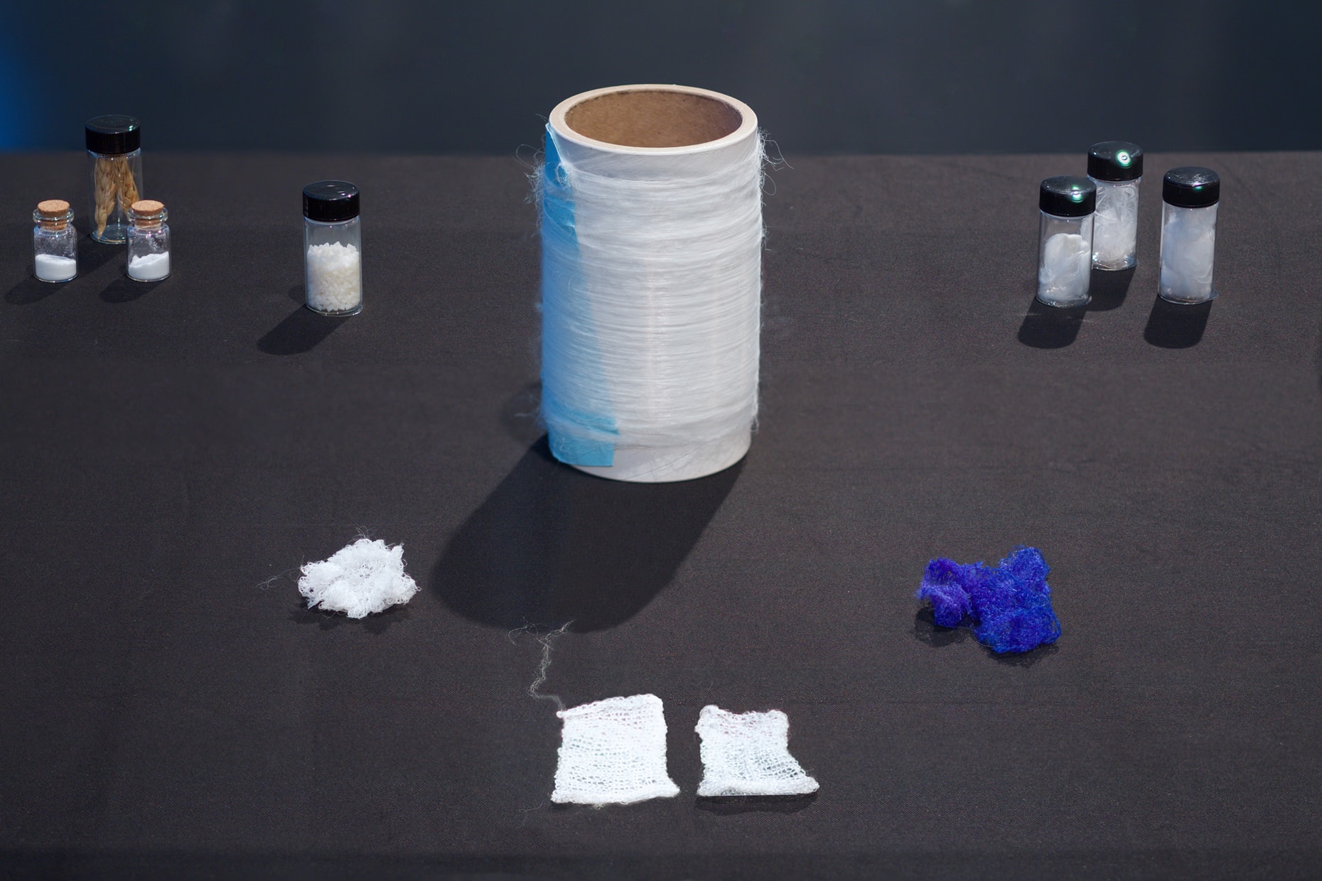 Radical Fiber: Threads Connecting Art and Science - Tang Teaching Museum