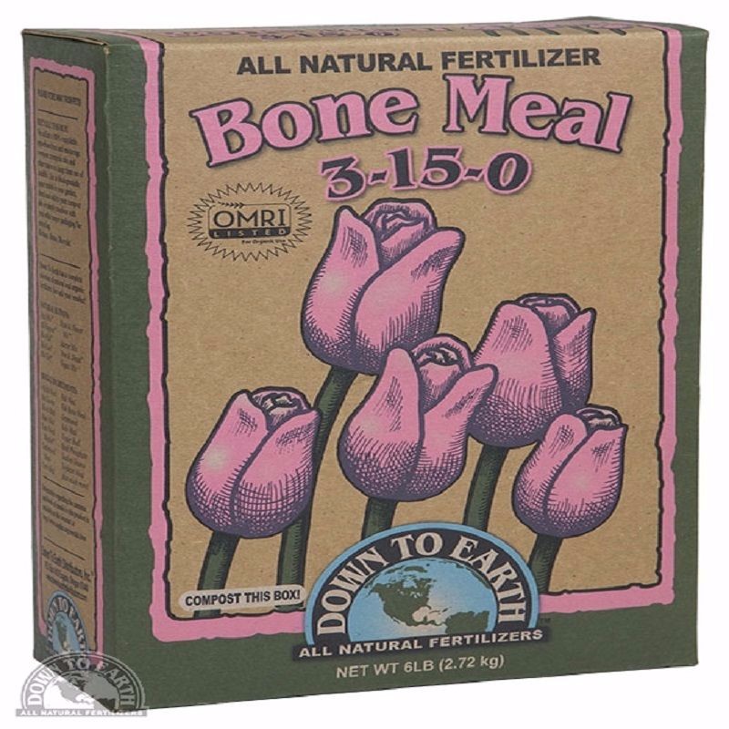 Down-to-Earth Bone Meal – A Natural Fertilizer for Your Garden