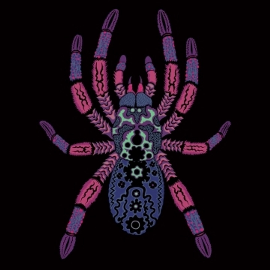 Kangaroo Ground / Ferntree Gully