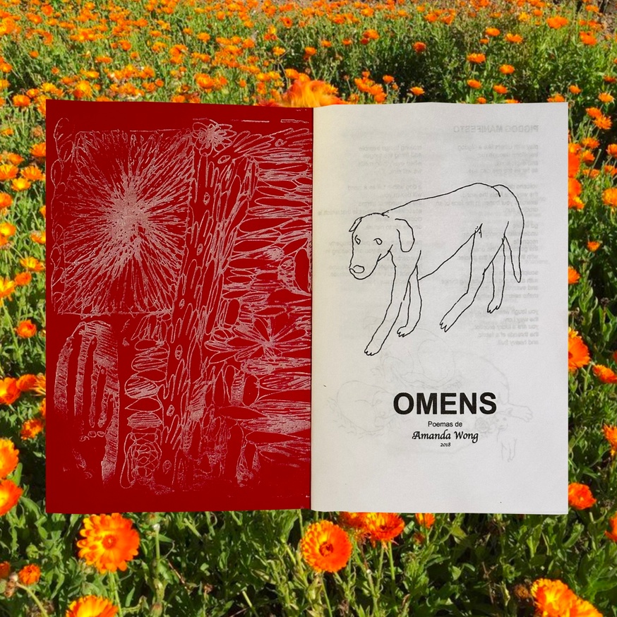Omens [Second Edition] thumbnail 4