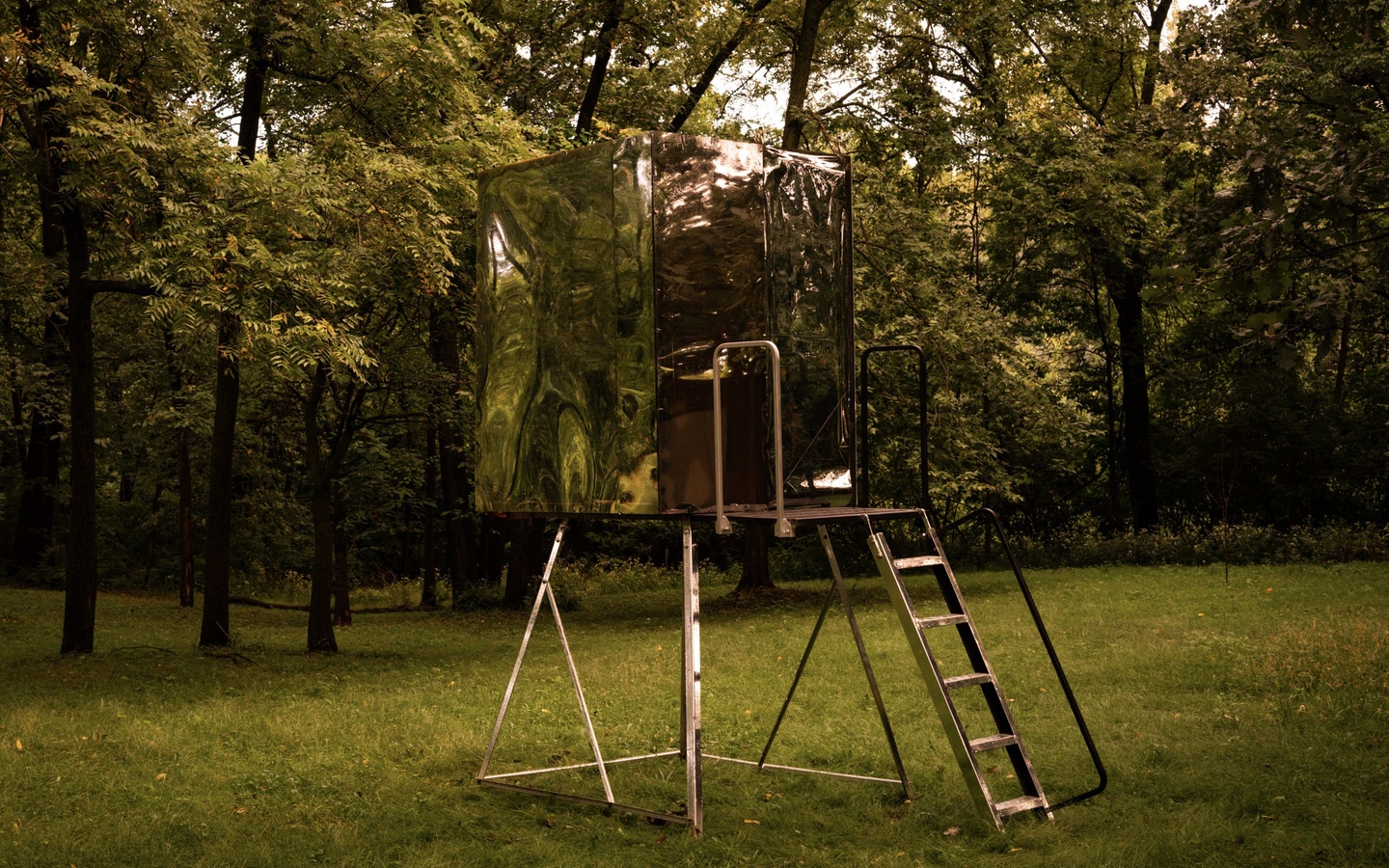 Sculptural installation set in a grassy, wooded area, featuring a ladder leading to a square base, with a cube of reflective panels.