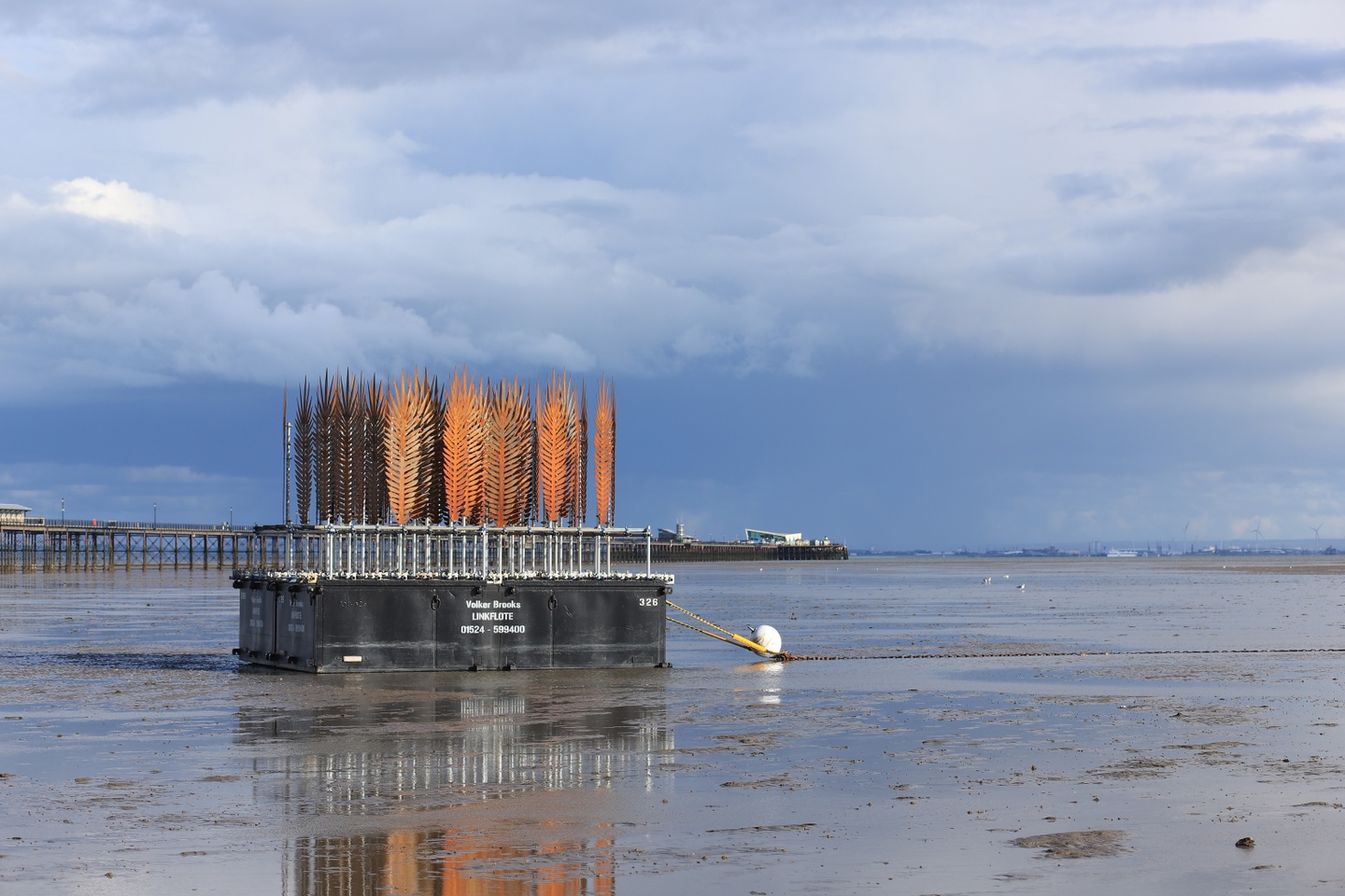 image of a container from a barge with leaf like objects standing in rows on top resting in shallow water by a dock and beach