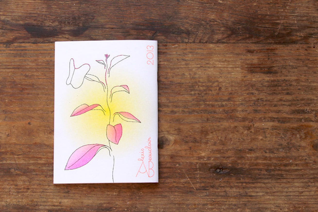 Papillon Blanc thumbnail 10