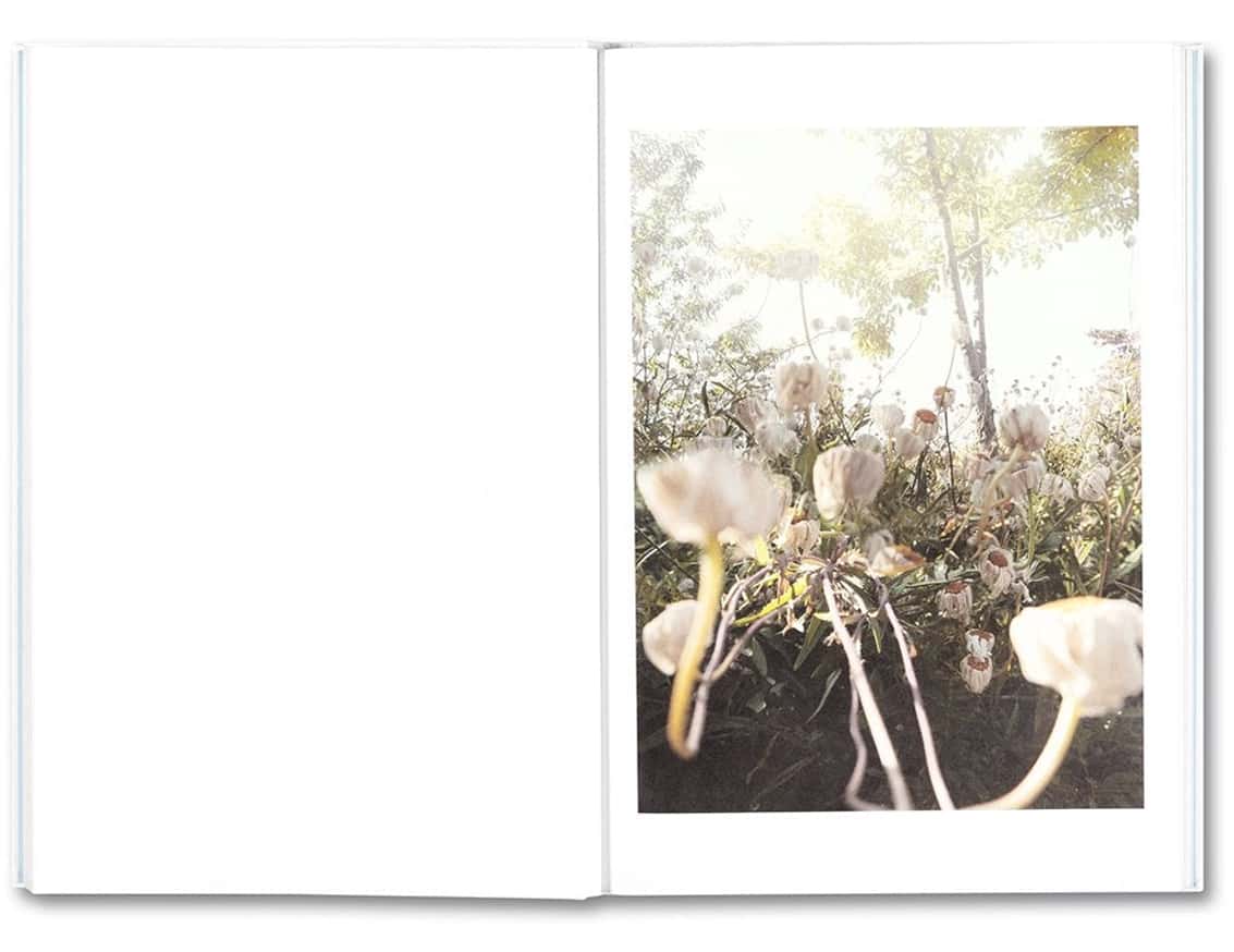 Somersault thumbnail 5