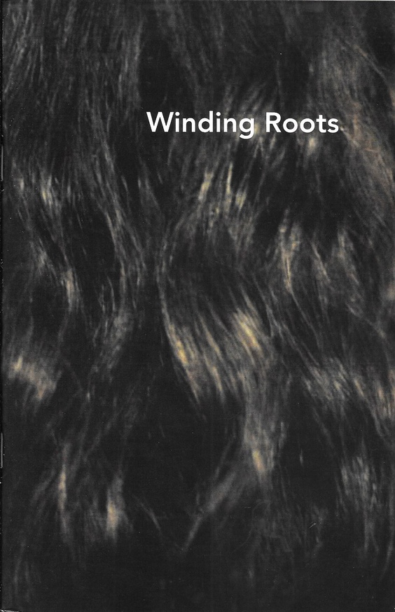 Winding Roots thumbnail 1