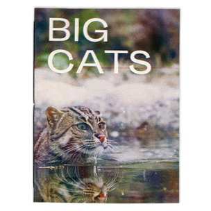 Big Cats