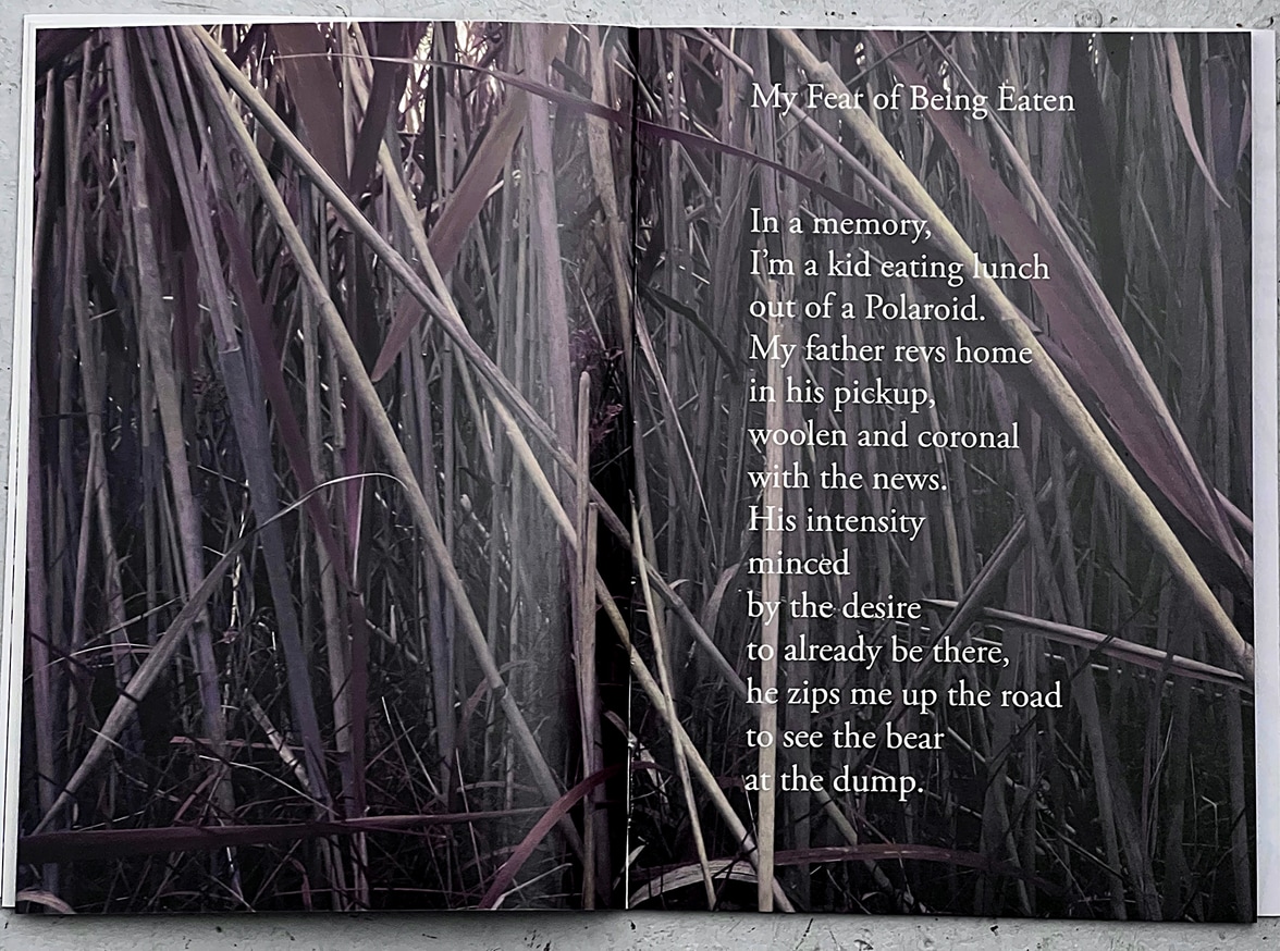 Adam Dickinson The Quarry Printed Matter