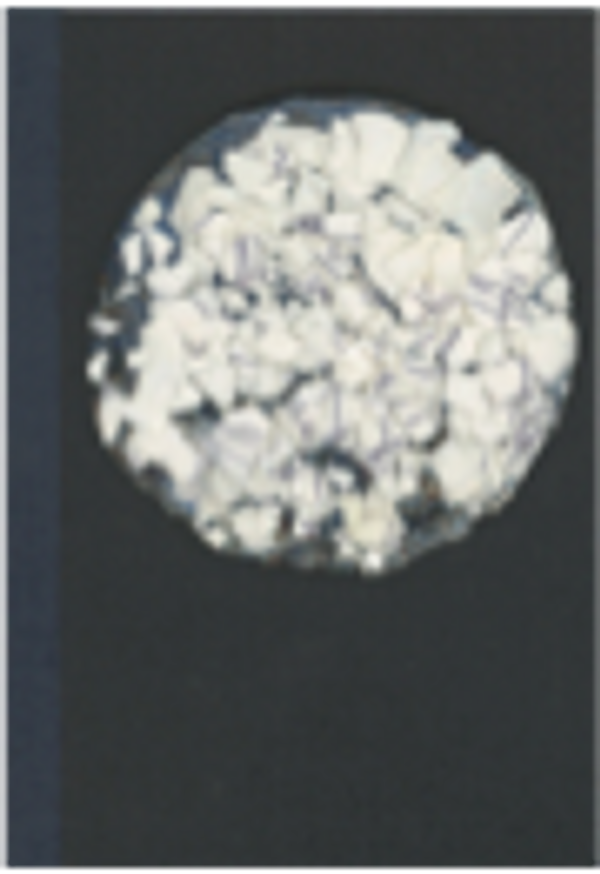 21 Days of Memory Walks