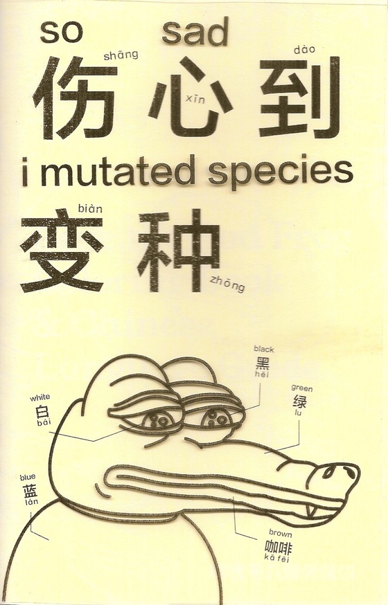 Pepe the Sad Frog Coloring Book and Chinese Learning Guide