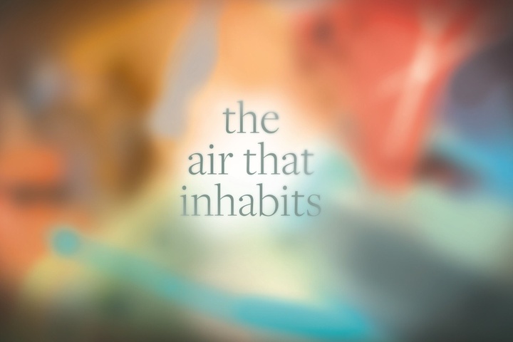 Colorful, hazy miasma with the words "the air that inhabits" floating in the center.