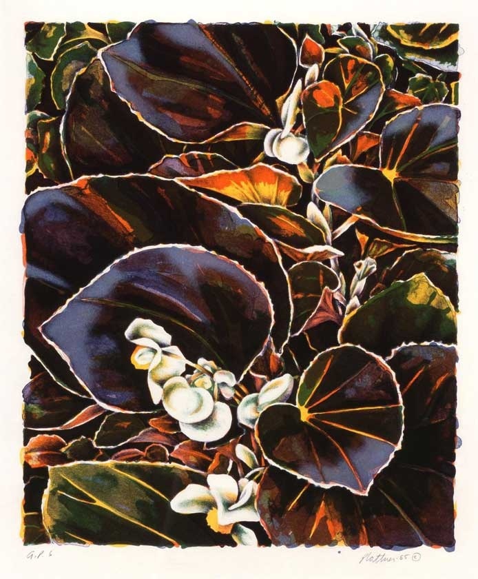 Phyllis Plattner_Whiskey Begonias.jpg