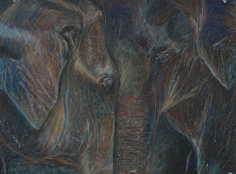 A sketchy drawing of two elephants resting their heads against each other on black paper.