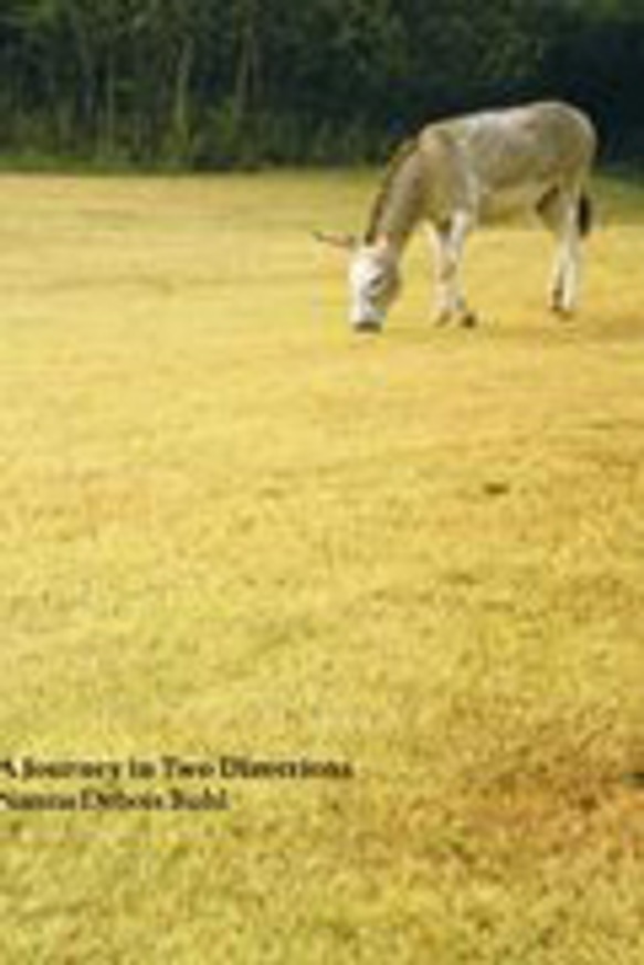 A Journey in Two Directions