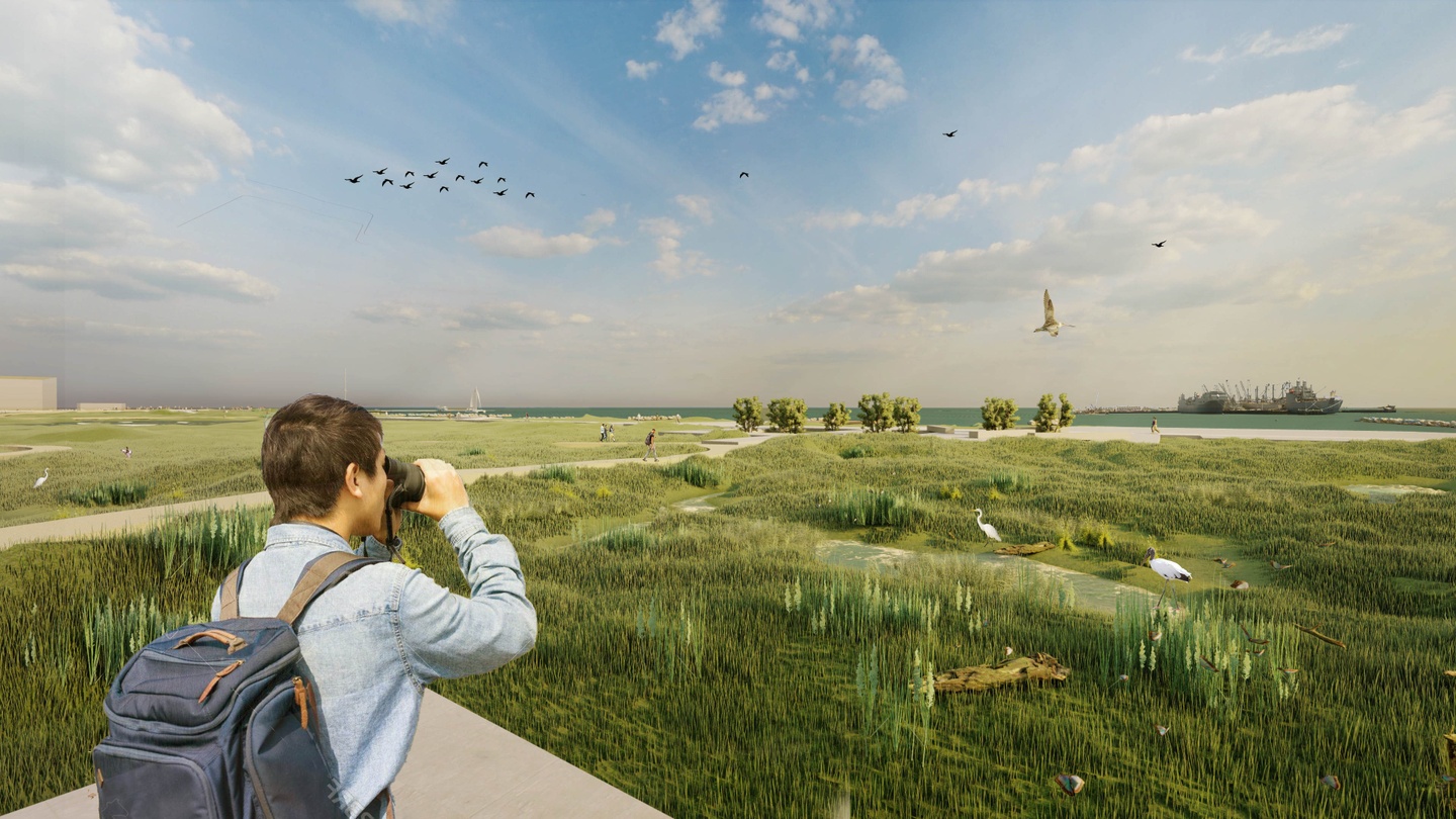 Rendering of a person using binoculars to stare out at a vast parkland of green grass, some taller, with trees and waterfront on the horizon.
