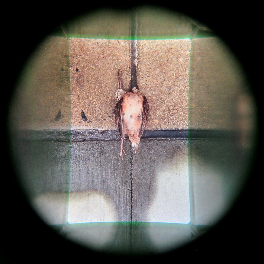 What in Me is Dark Illumine (Set of 7 Viewers) [fourth edition] thumbnail 3