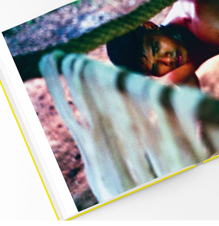 Jungle Dreams thumbnail 2