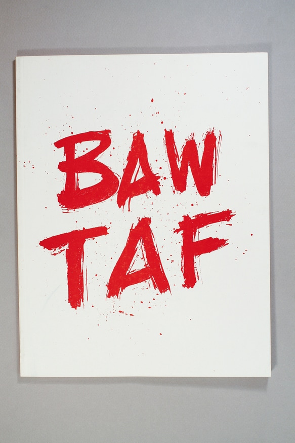 The Border Art Workshop                                                                                                                                                                                                                                         thumbnail 4