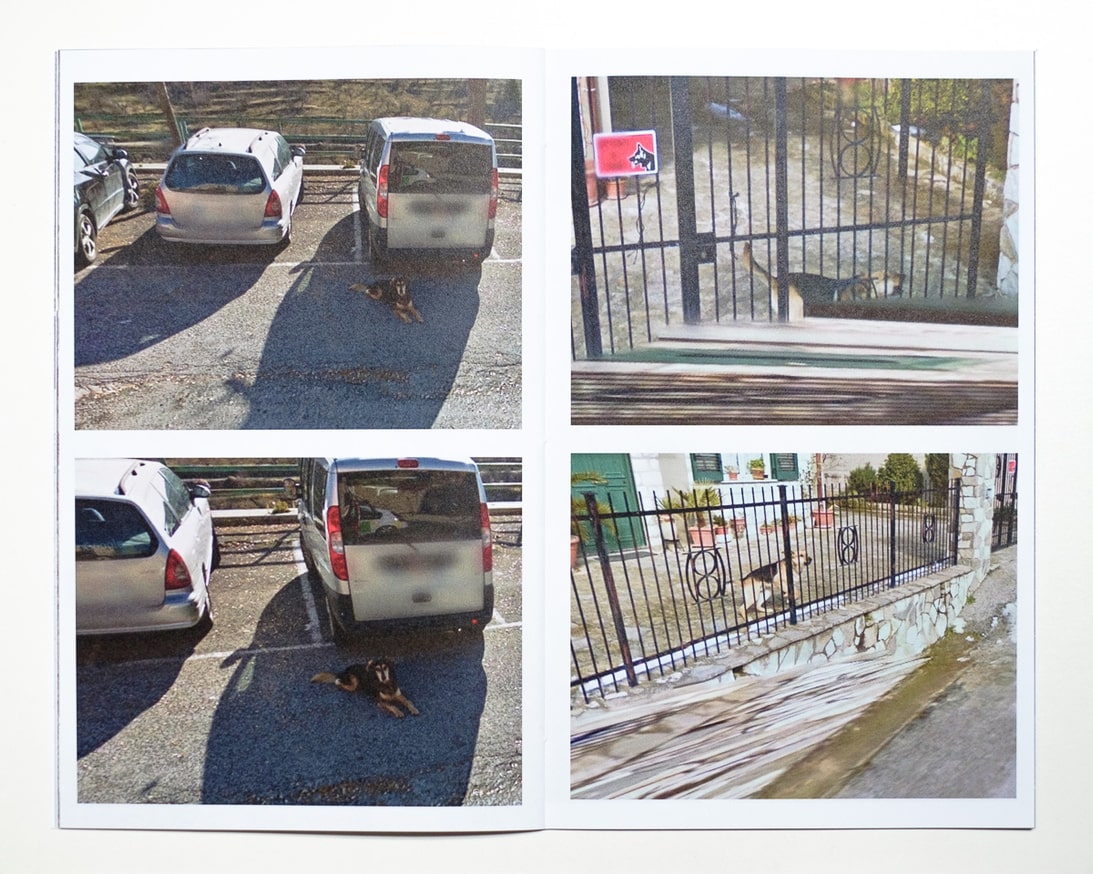 Attenti al Cane: Twentysix Dogs Found on Street View thumbnail 2