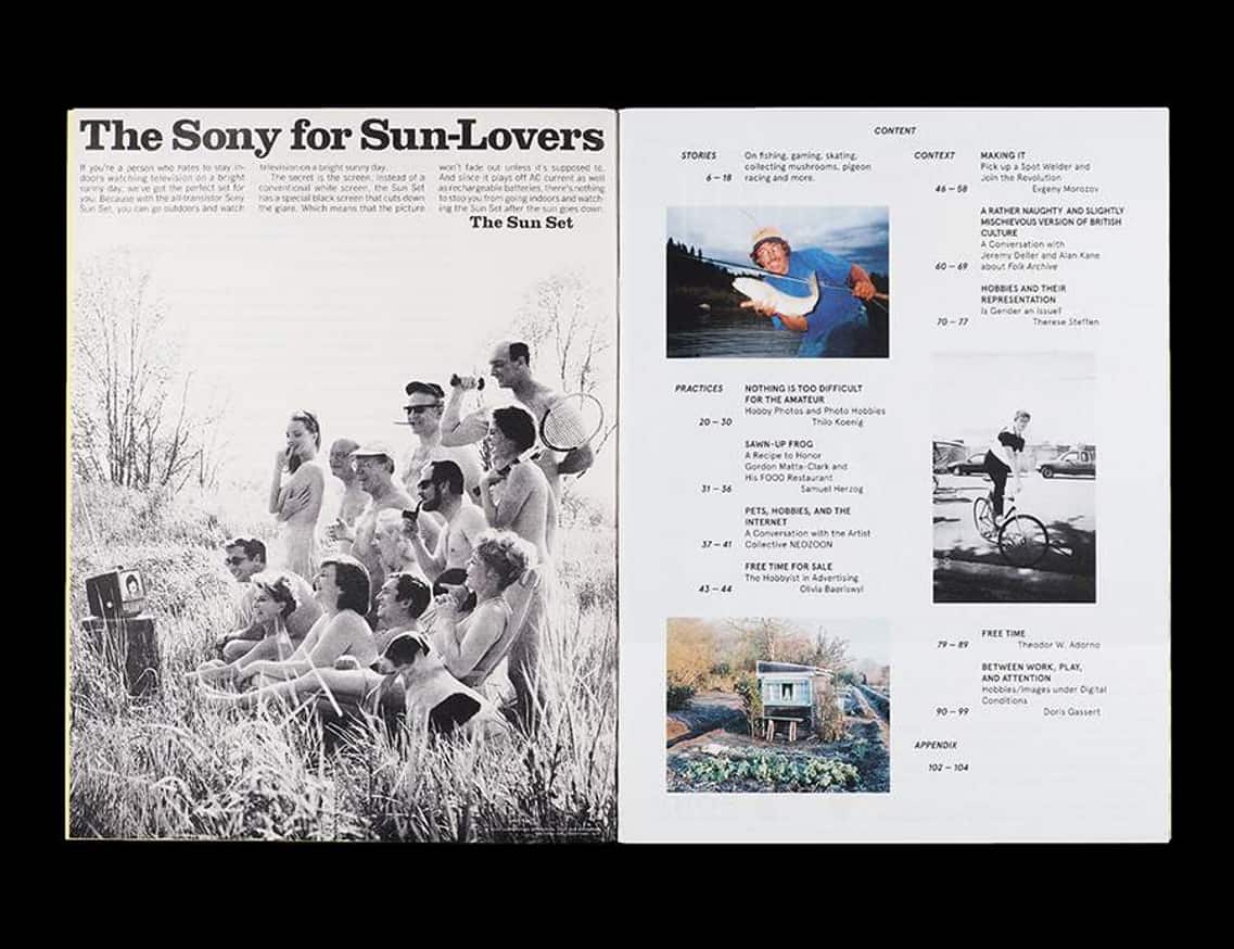 The Hobbyist thumbnail 2