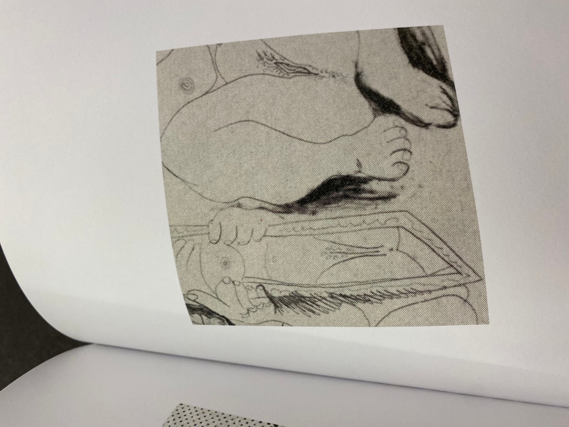 PIcasso's Assholes thumbnail 8