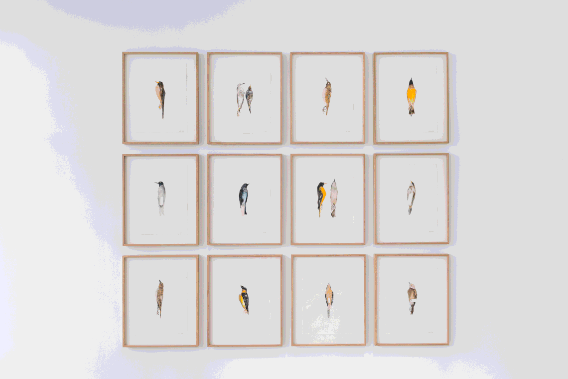 Rotating gif of artwork