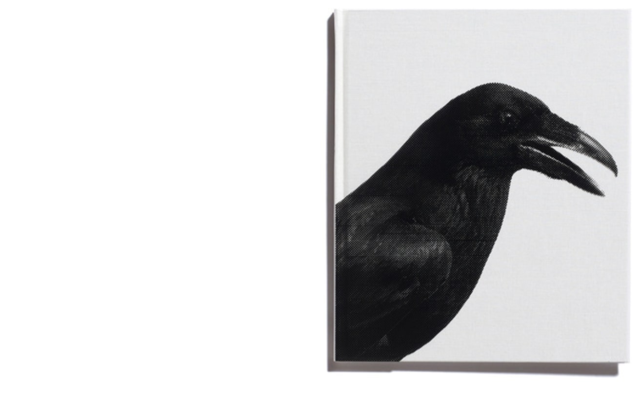 Religious Symbols / London Garden Birds / Numbers / Sexual Predators / Political Symbols  thumbnail 9