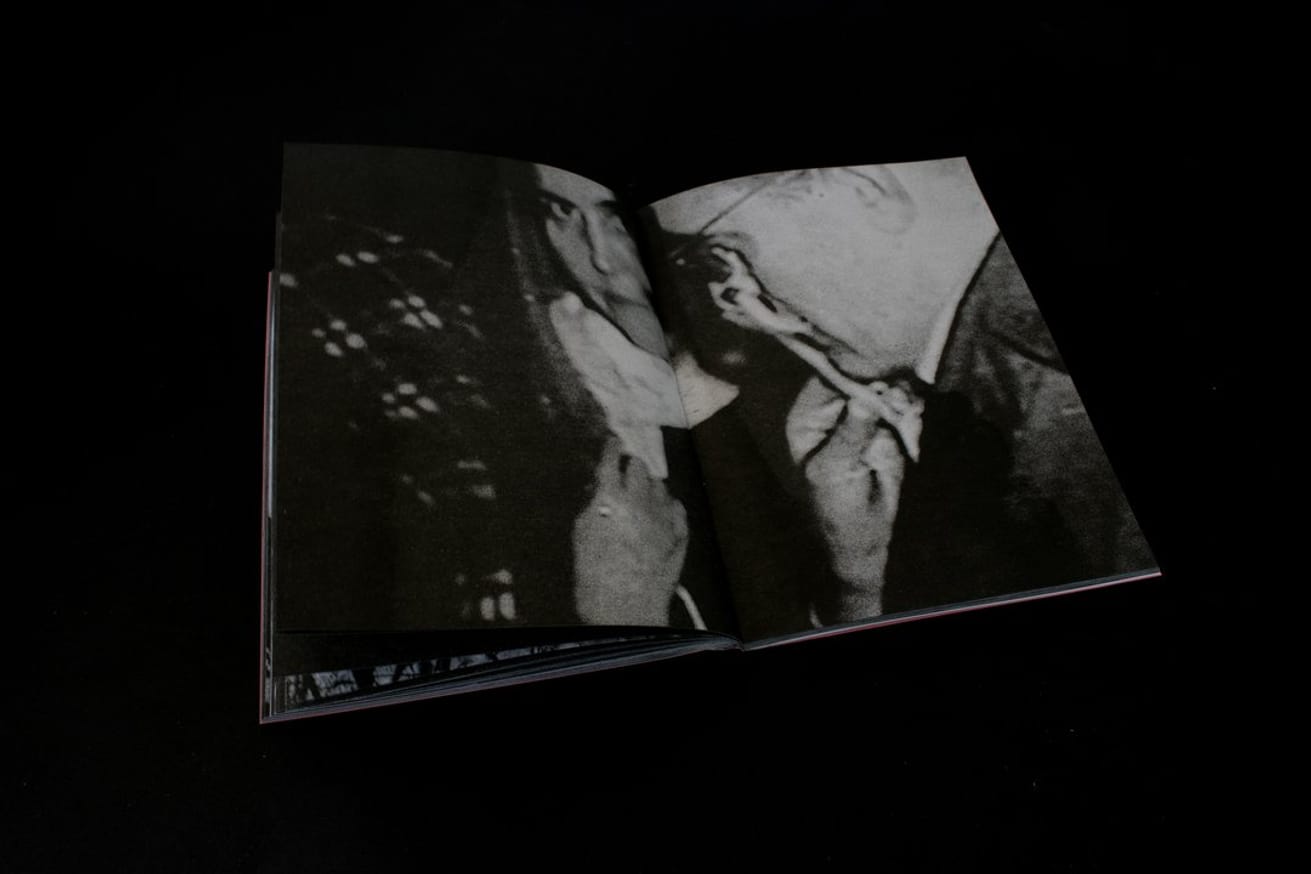 Delusion is a lie that tells the truth thumbnail 8