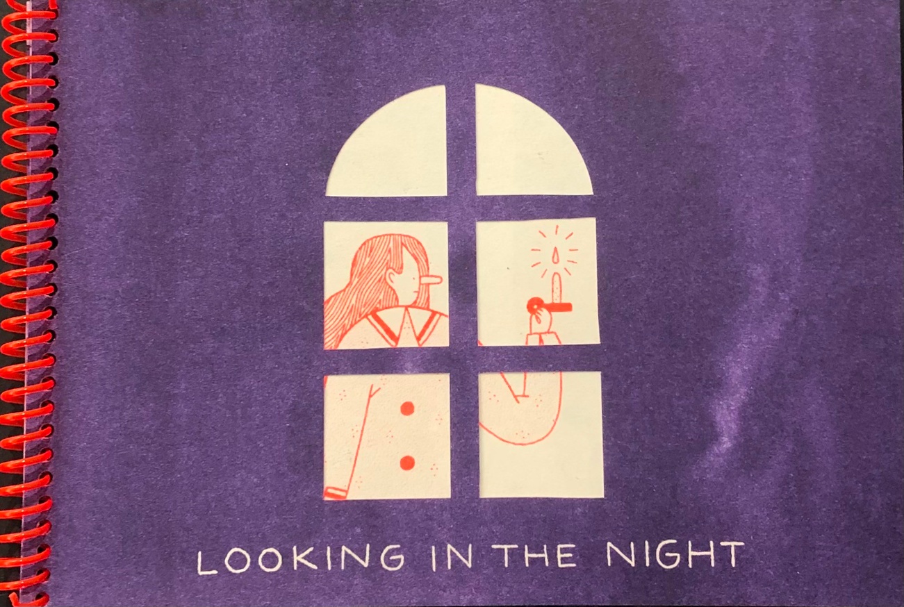 Looking in the Night [Limited Edition]